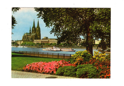 Ansichtskarte Köln am Rhein / Blick vom Rheinpark zum Dom / G1-58