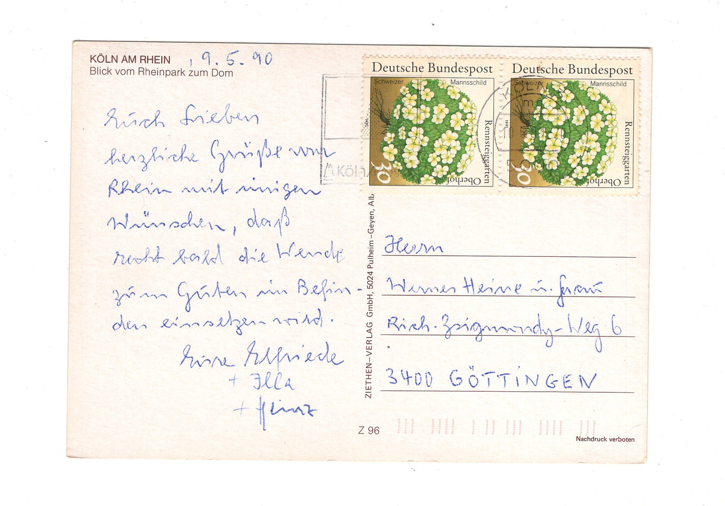 Ansichtskarte Köln am Rhein / Blick vom Rheinpark zum Dom / G1-58