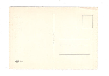 Ansichtskarte Glückwünsche / Glückwunsch zum Geburtstag / L1-56