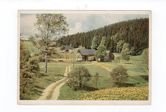 Ansichtskarte Gehöft in Hirschsprung bei Altenberg im Erzgebirge