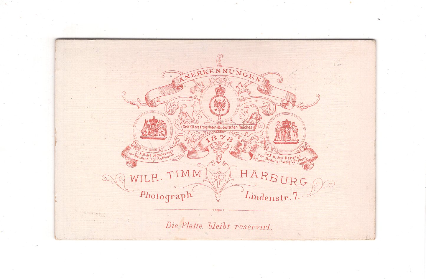 Fotografie Damenportrait - Hamburg-Harburg 1880er / CDV C1-03