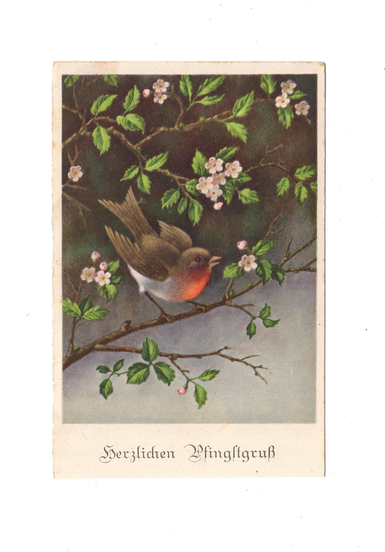 Ansichtskarte / Feldpost Pfingstgruß - Dresden 1941