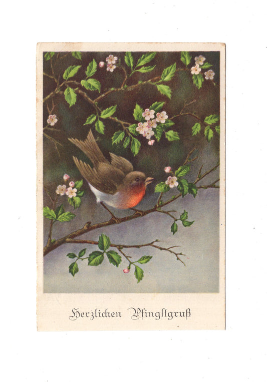 Ansichtskarte / Feldpost Pfingstgruß - Dresden 1941