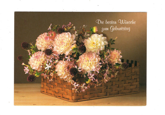 Ansichtskarte Glückwünsche / Glückwunsch zum Geburtstag / L1-56