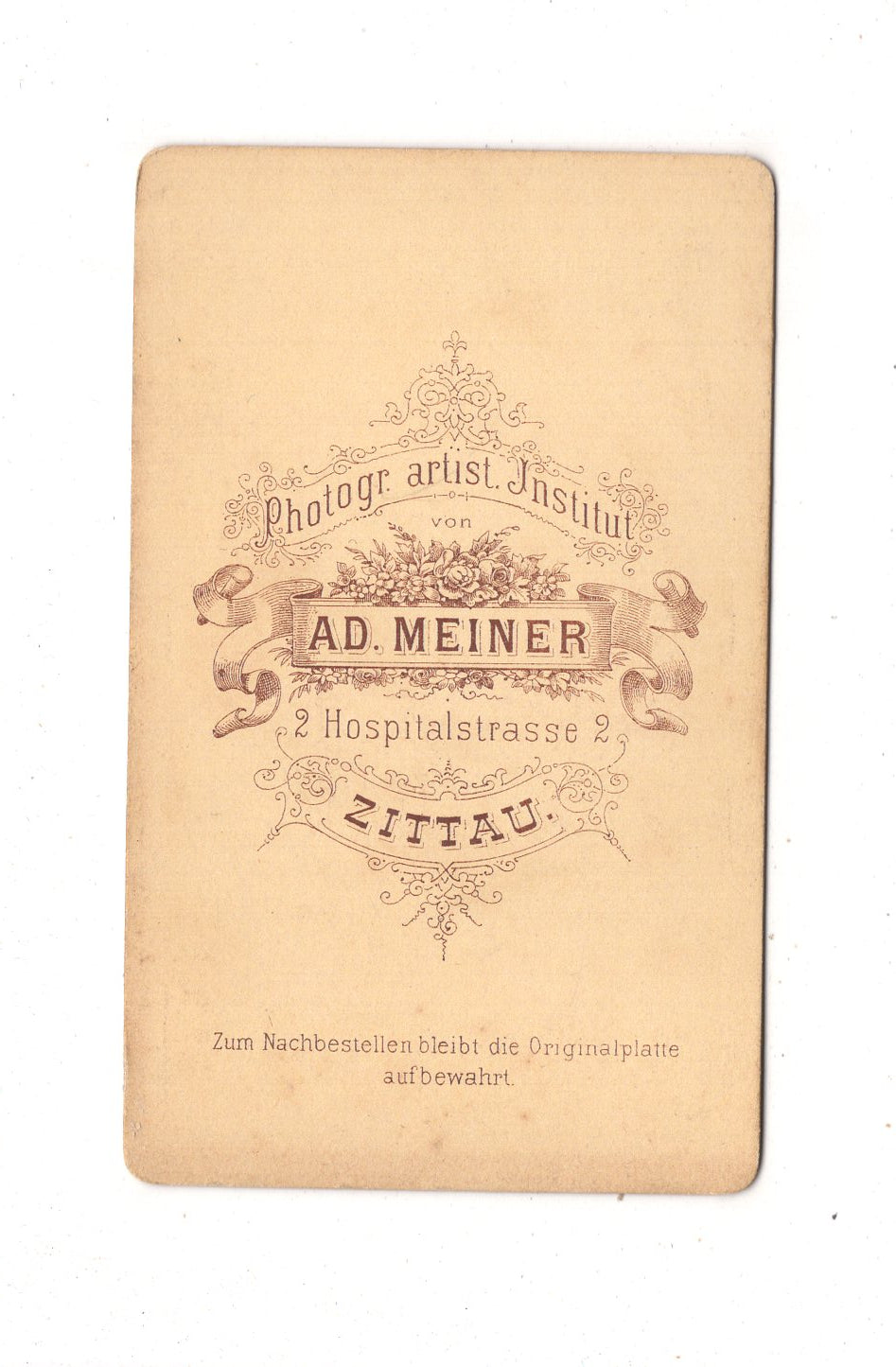 Fotografie Feine Dame - Zittau 1870er / CDV L1-24