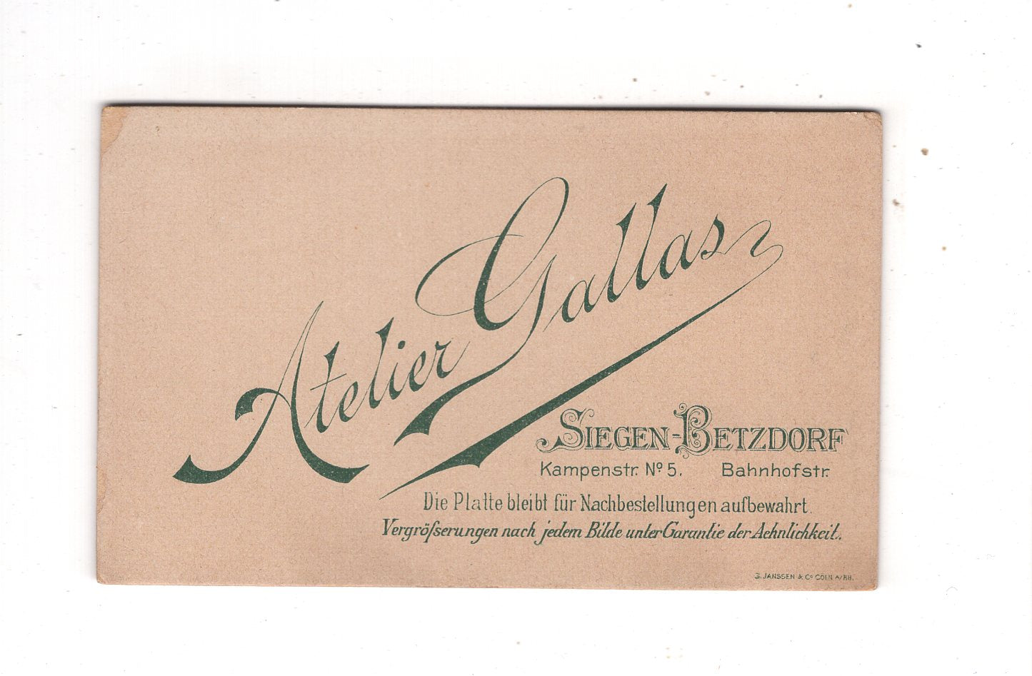 Fotografie Damenportrait - Siegen-Betzdorf 1890er / CDV N1-13