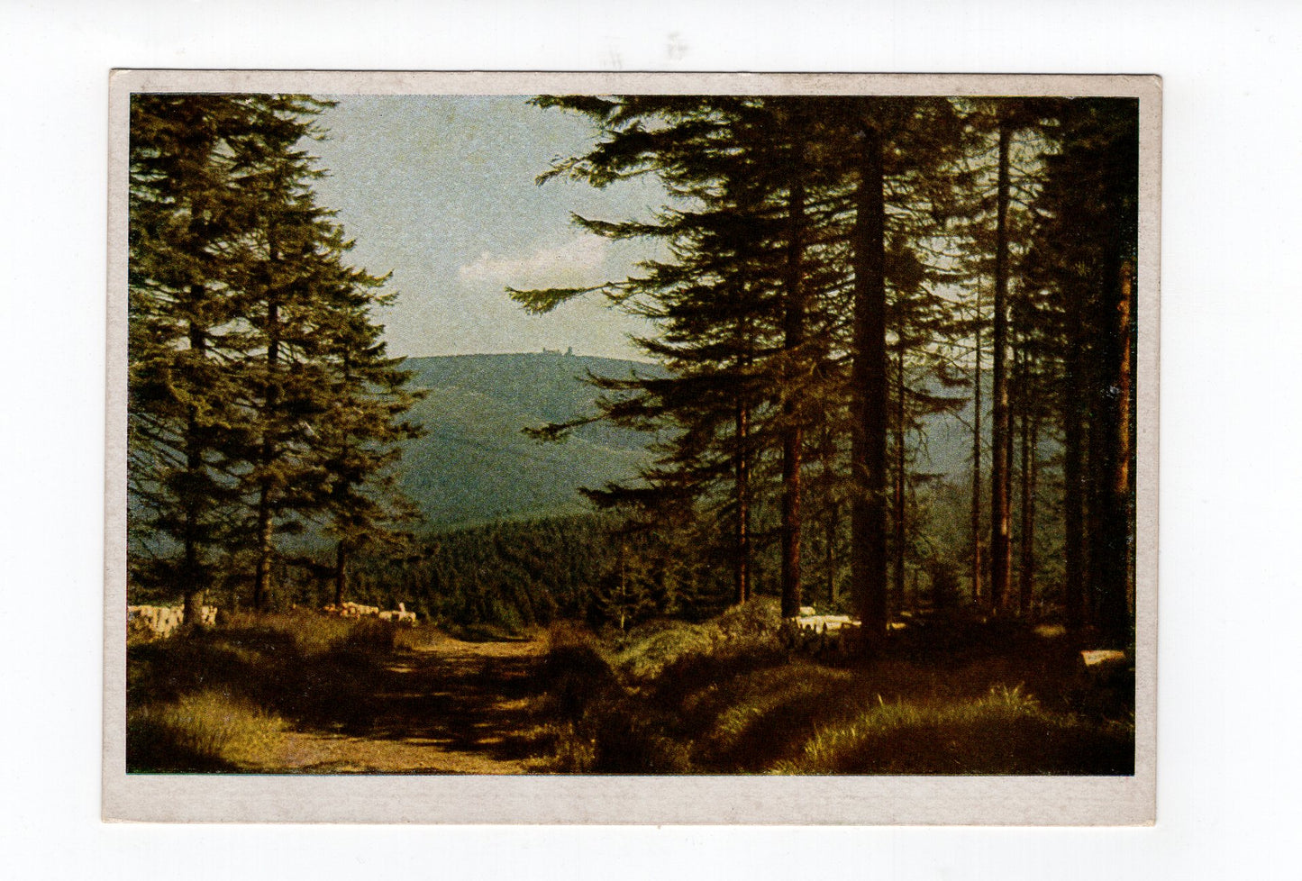 Ansichtskarte Erzgebirge / Der Fichtelberg