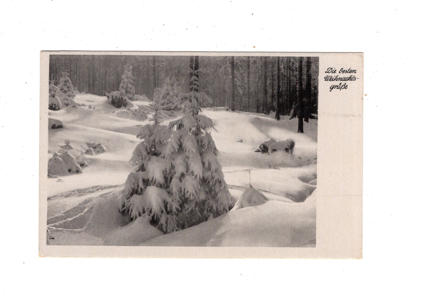 Ansichtskarte Feiertage / Frohe Weihnachten / K1-60