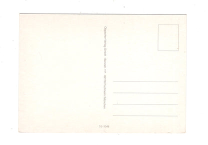 Ansichtskarte Glückwünsche / Glückwunsch zum Geburtstag / L1-56