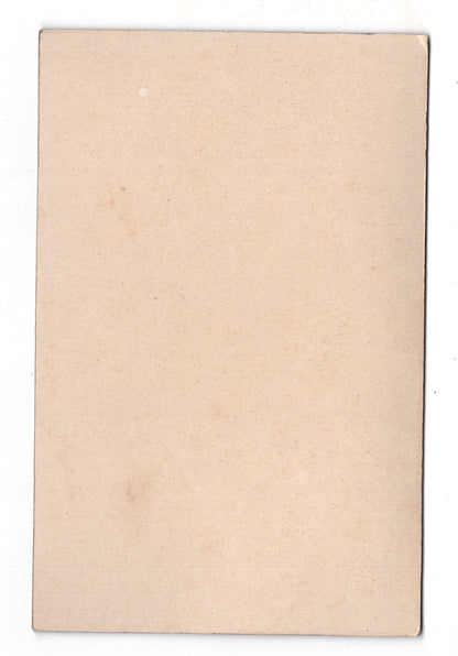 Fotografie Feine Dame - Hameln 1900er / CAB W-22
