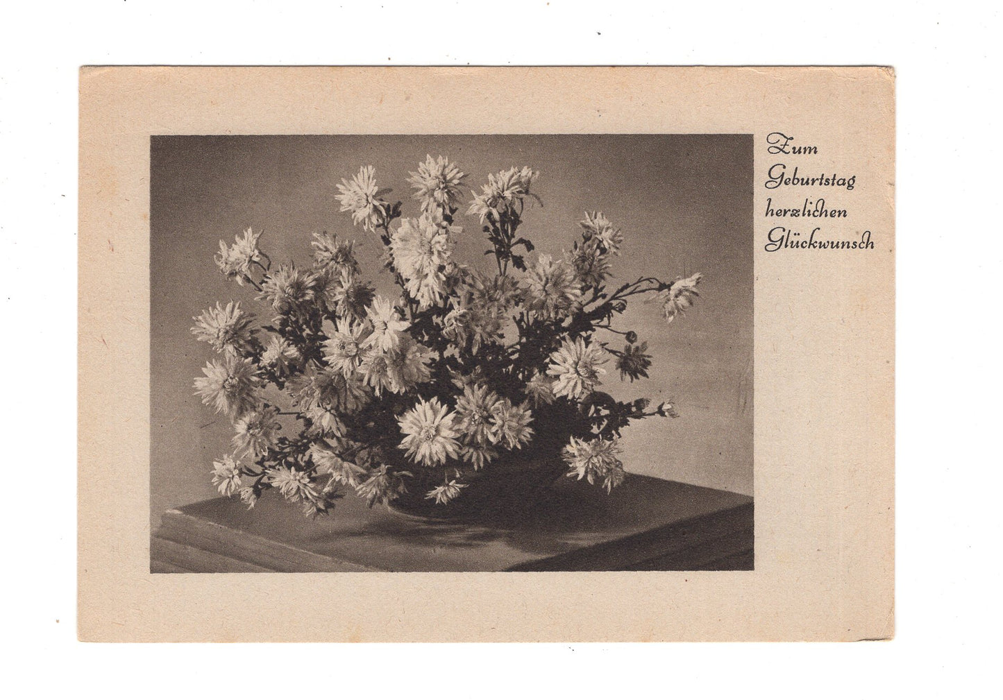 Ansichtskarte Glückwünsche / Glückwunsch zum Geburtstag / L1-56