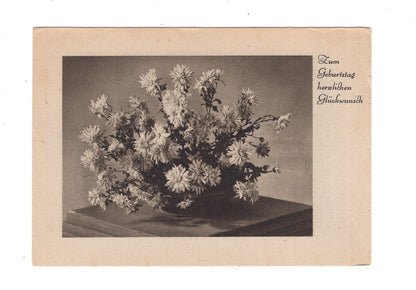 Ansichtskarte Glückwünsche / Glückwunsch zum Geburtstag / L1-56