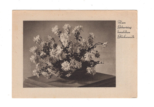 Ansichtskarte Glückwünsche / Glückwunsch zum Geburtstag / L1-56