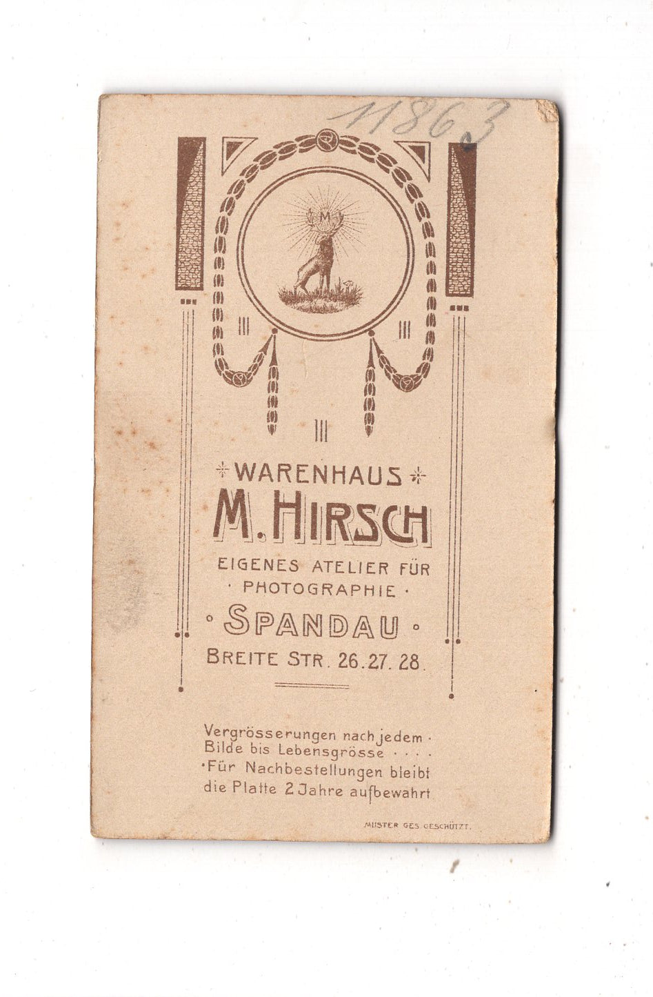 Fotografie Feiner Junge - Spandau 1900er / CDV M1-26