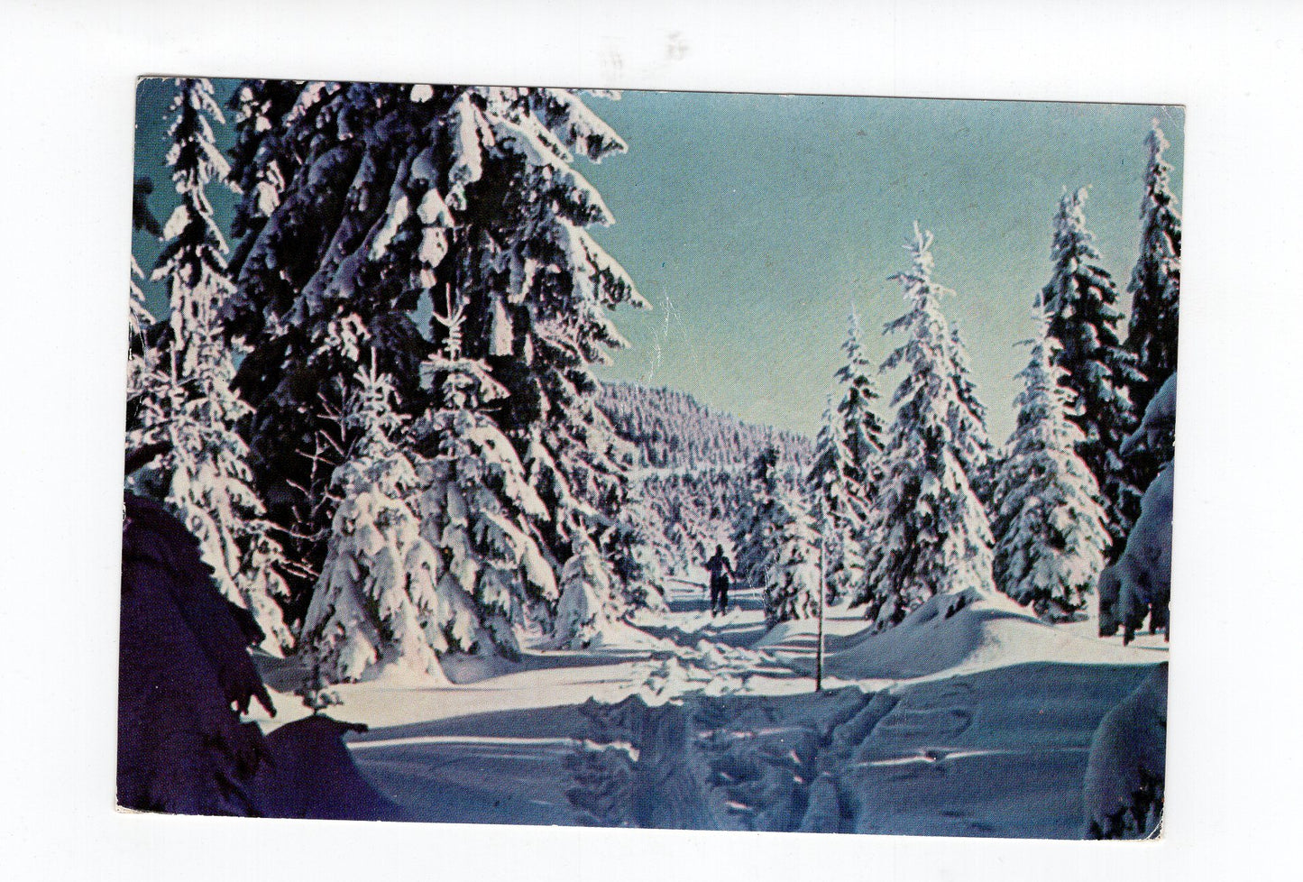 Ansichtskarte Erzgebirge / Weg zum Fichtelberg