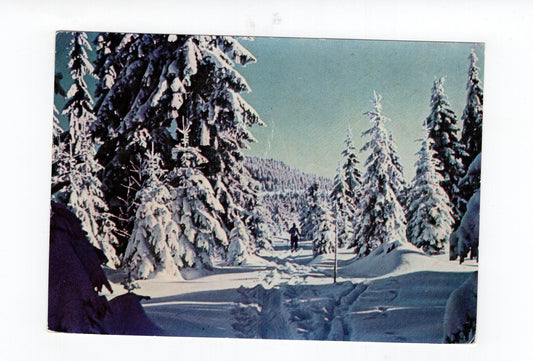 Ansichtskarte Erzgebirge / Weg zum Fichtelberg