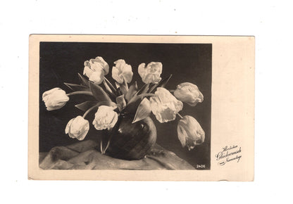 Ansichtskarte Glückwünsche / Glückwunsch zum Geburtstag / L1-56