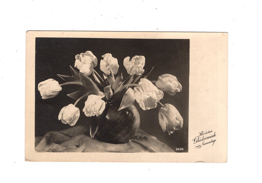 Ansichtskarte Glückwünsche / Glückwunsch zum Geburtstag / L1-56