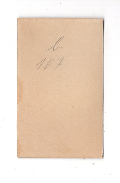 Fotografie Damenportrait - Elberfeld 1890er / CDV N1-13