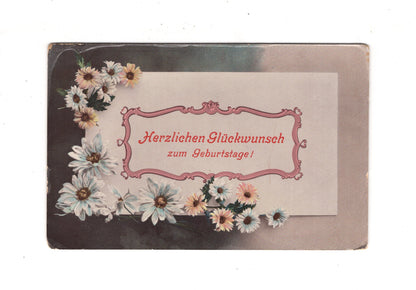 Ansichtskarte Glückwünsche / Glückwunsch zum Geburtstag / L1-56