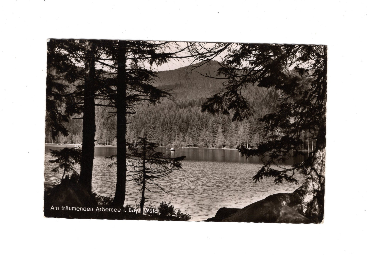Ansichtskarte Arbersee im Bayerischen Wald