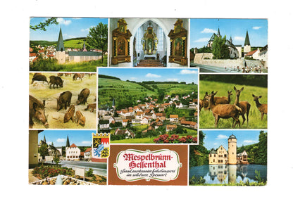 Ansichtskarte Mespelbrunn-Hellenthal im Spessart