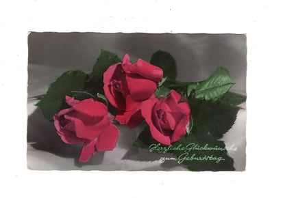 Ansichtskarte Glückwünsche / Glückwunsch zum Geburtstag / L1-56