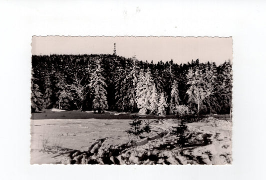 Ansichtskarte Altenberg / Erzgebirge / Blick zum Kahleberg