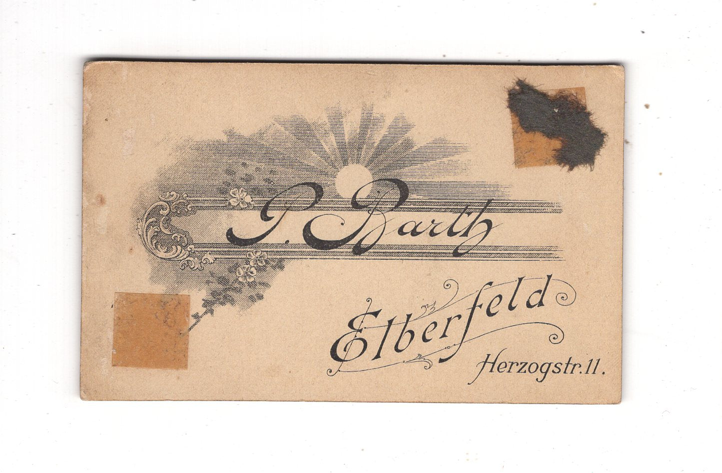 Fotografie Damenportrait - Elberfeld 1890er / CDV N1-13