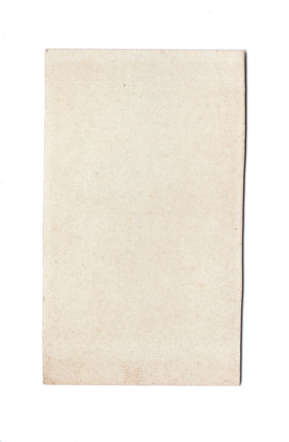 Fotografie Damenportrait - Verviers um 1900