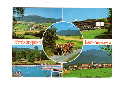 Ansichtskarte Lam / Bayerischer Wald