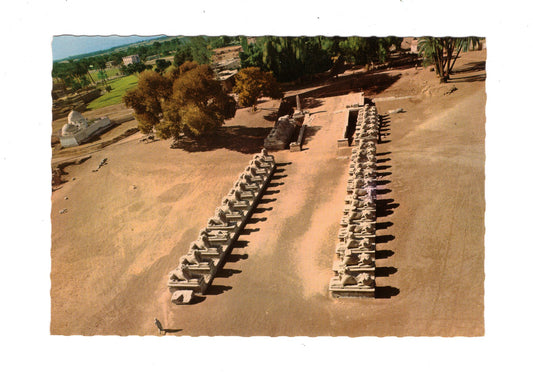 Ansichtskarte Karnak / Sphinx Allee / Ägypten