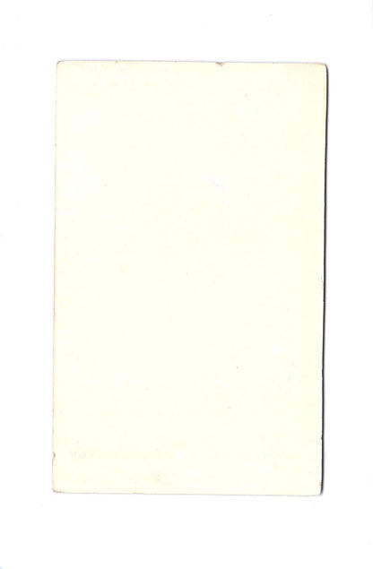 Fotografie Damenportrait - Dison 1890er