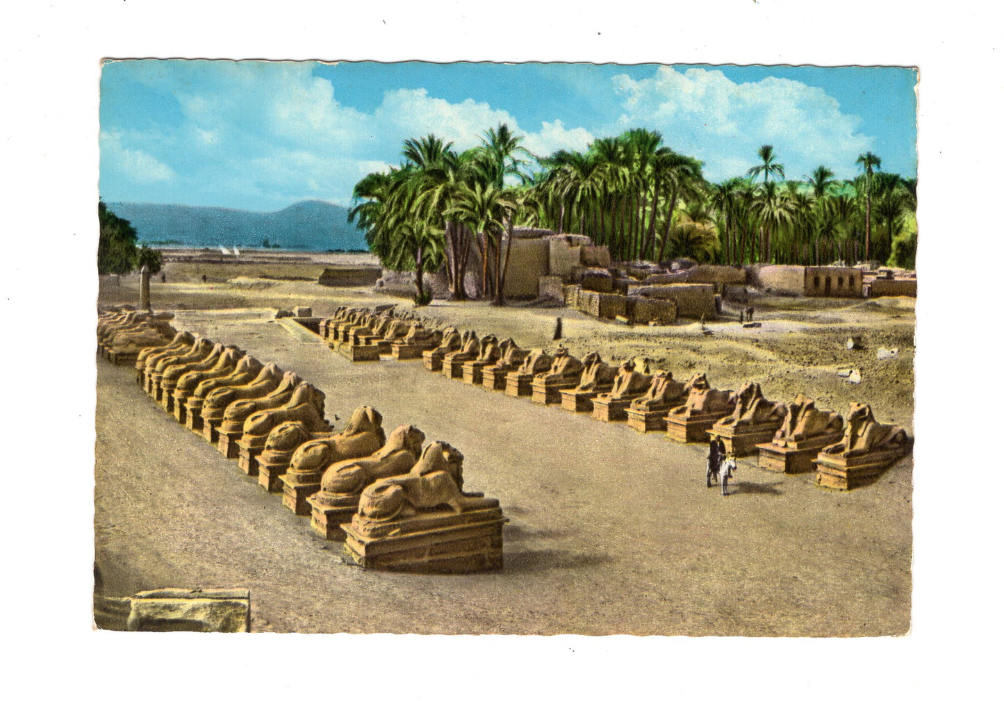 Ansichtskarte Karnak / Sphinx Allee / Ägypten