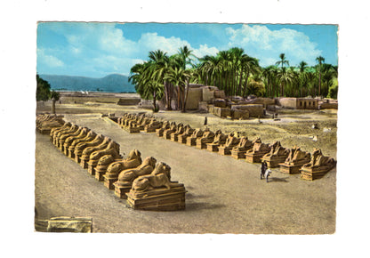 Ansichtskarte Karnak / Sphinx Allee / Ägypten