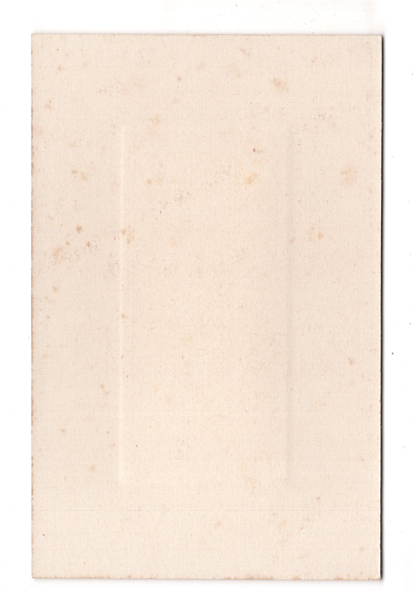 Fotografie Feine Dame - Hameln 1900er / CAB W-23