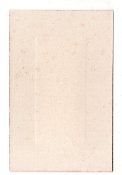 Fotografie Feine Dame - Hameln 1900er / CAB W-23