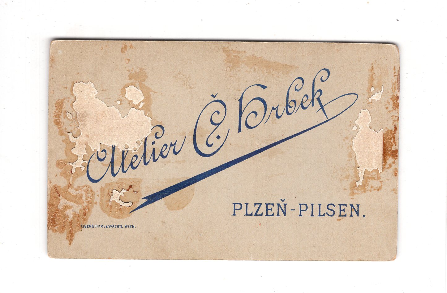 Fotografie Damenportrait - Pilsen 1890er / CDV C1-03