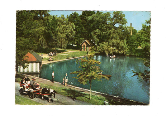 Ansichtskarte Bad Rothenfelde am Teutoburger Wald / Kurparkteich