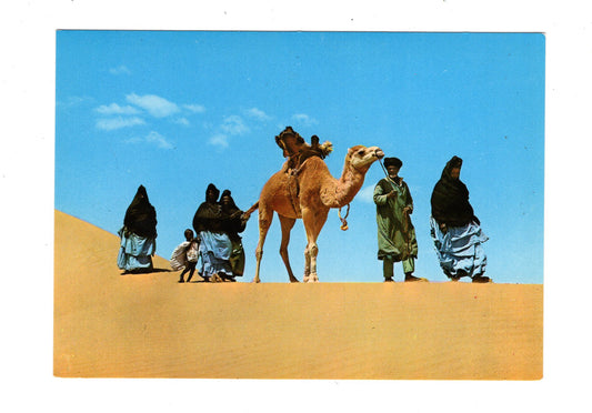 Ansichtskarte Sahara / Saharaubi Familie / Ägypten