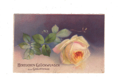 Ansichtskarte Glückwünsche / Glückwunsch zum Geburtstag / L1-57