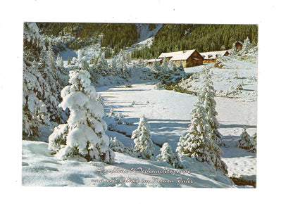 Ansichtskarte Feiertage / Frohe Weihnachten / K1-61