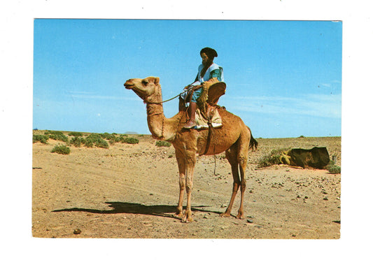 Ansichtskarte Sahara / Meharista / Ägypten