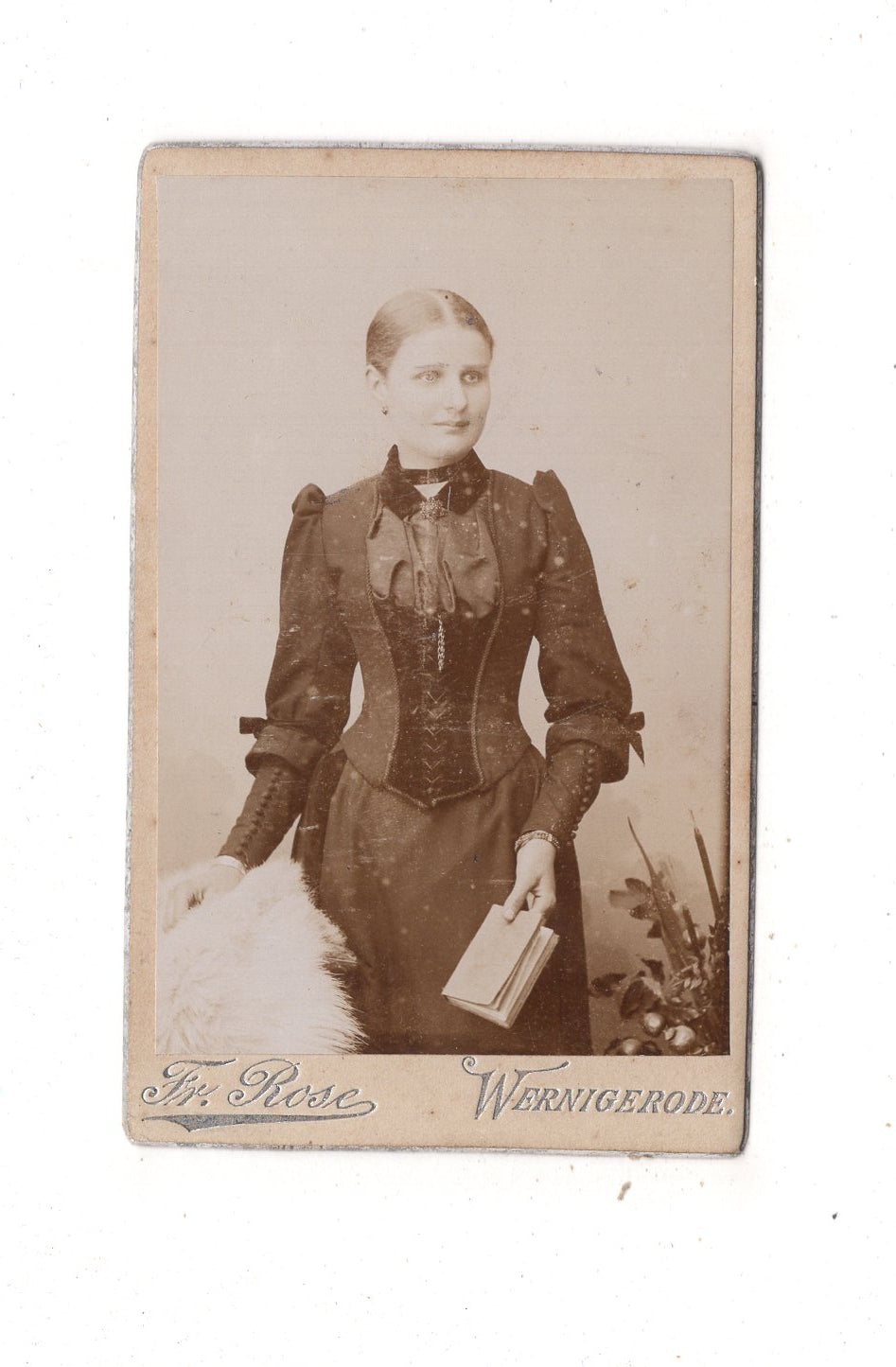 Fotografie Feine Dame - Wernigerode 1890er / CDV L1-24