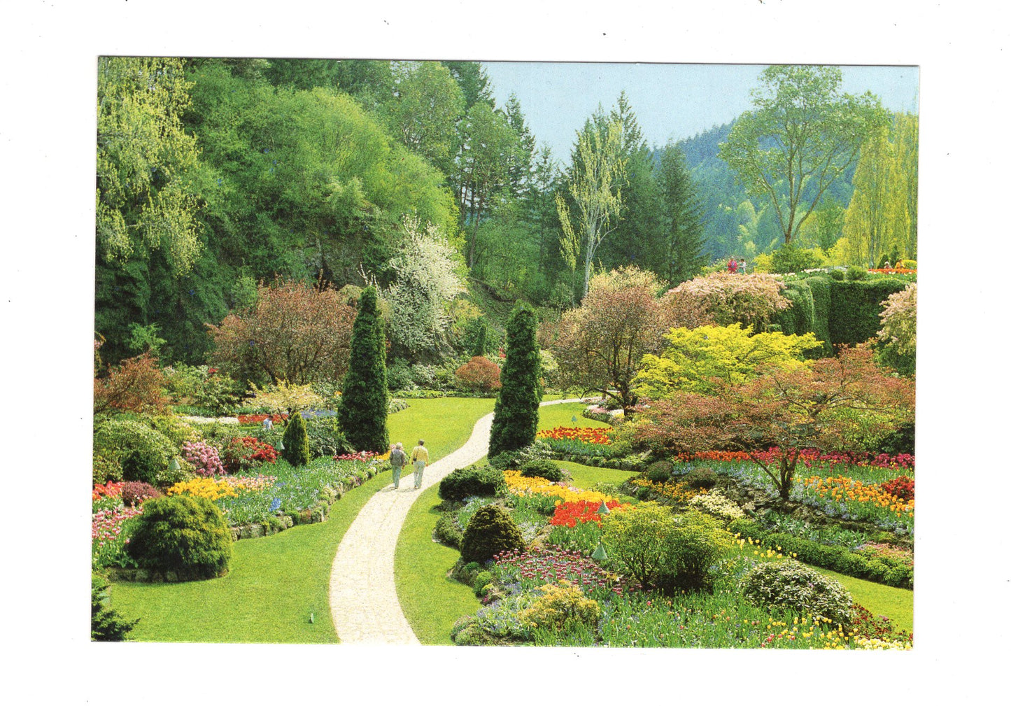 Ansichtskarte The Sunken Garden / Victoria / British Columbia / Kanada