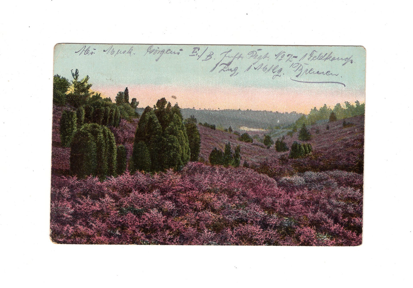 Ansichtskarte / Feldpost / Lüneburger Heide - Bremen 1918