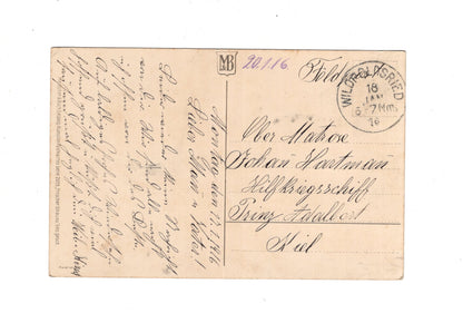 Ansichtskarte / Feldpost / Patriotische Karte - Wildpoldsried 1916