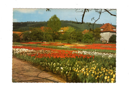 Ansichtskarte Der Essmannshof / Tulpenschau / Deckbergen