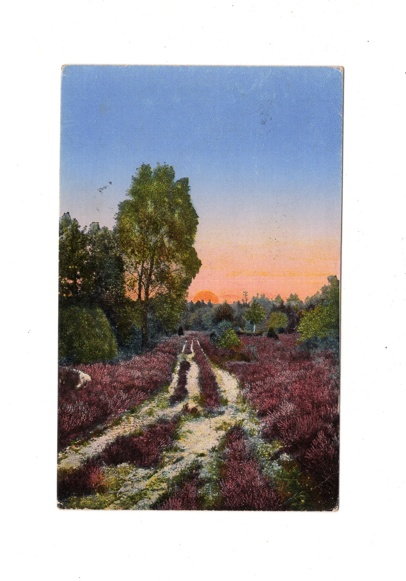 Ansichtskarte / Feldpost / Lüneburger Heide - 1918