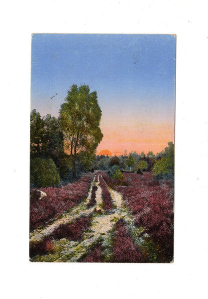Ansichtskarte / Feldpost / Lüneburger Heide - 1918